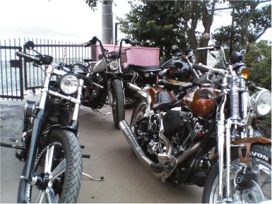 c0006028_11251455.gif
