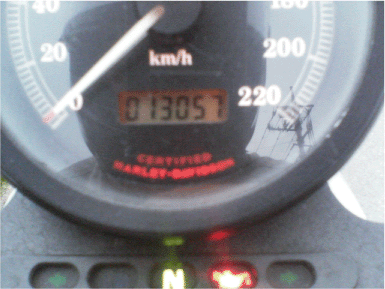c0006028_8265333.gif