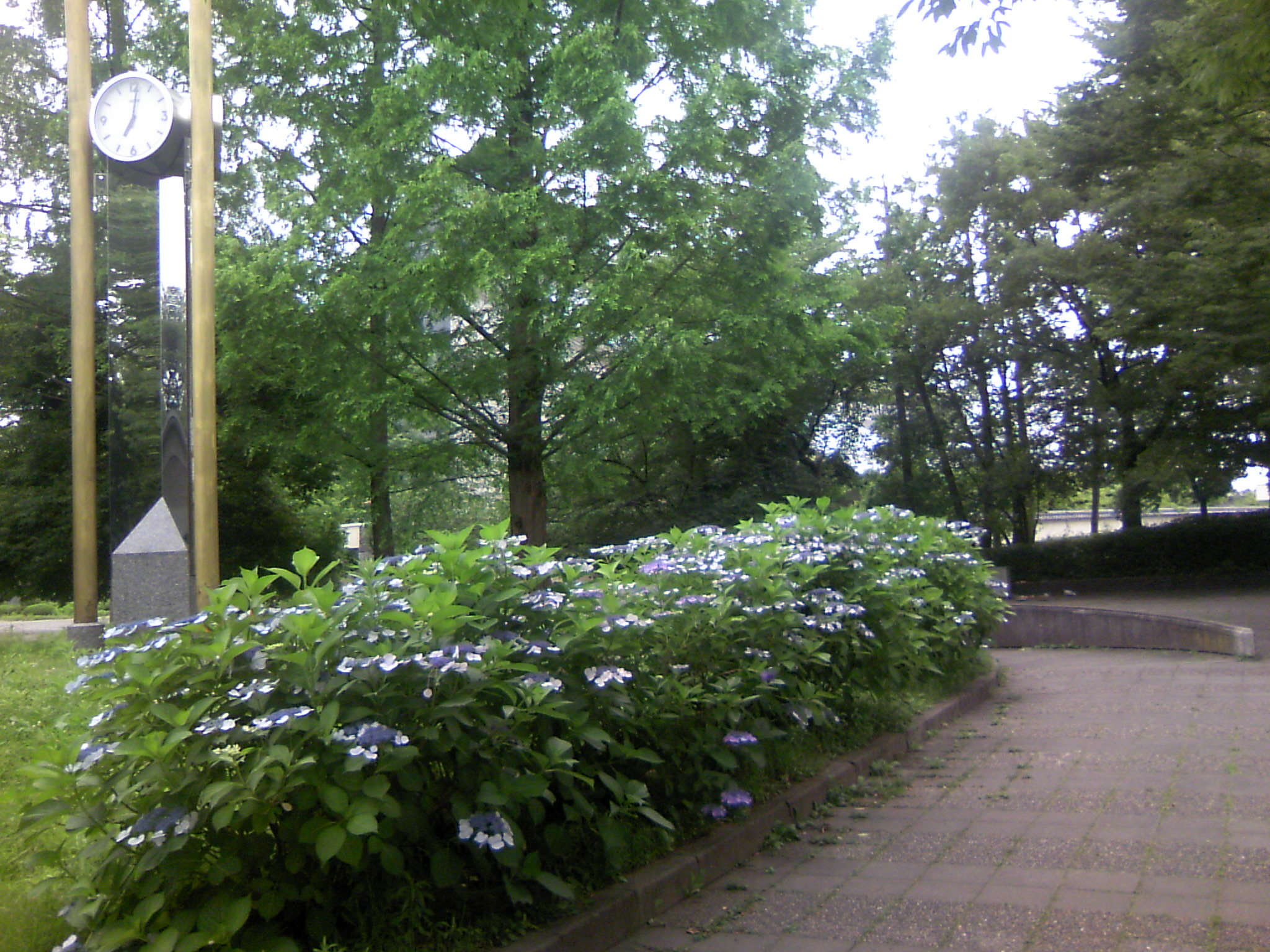 基本設計_c0097137_813756.jpg