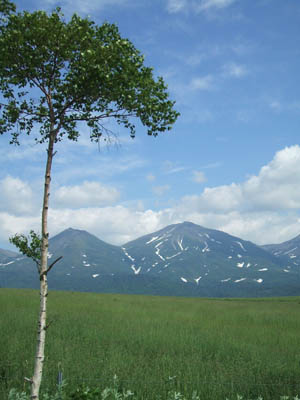 夏の富良野・美瑛へ行こう！_c0097856_18494241.jpg