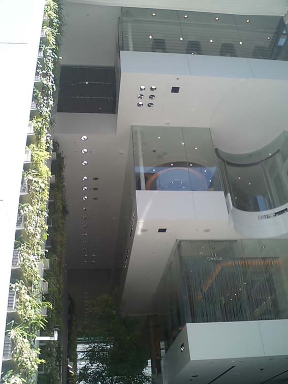 f0054859_2244232.jpg