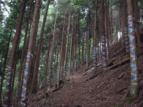 c0002874_01911.jpg