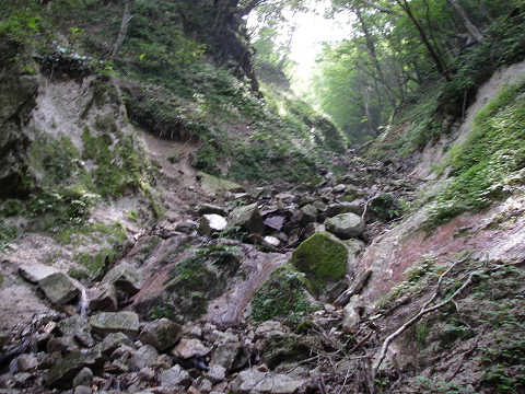 c0002874_14555.jpg