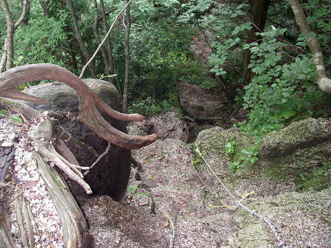 c0002874_19536.jpg