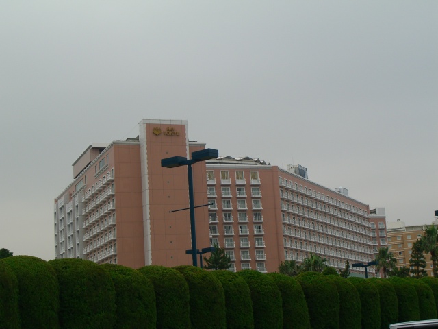 d0067192_10362734.jpg