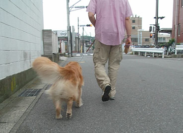 c0096393_2213336.jpg