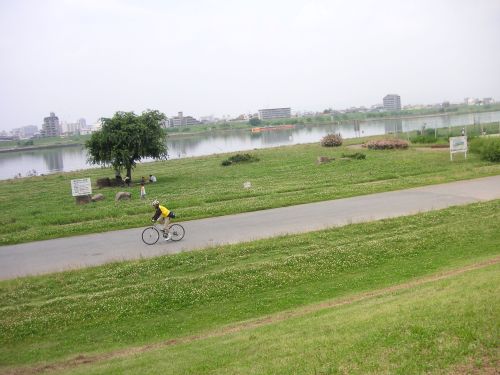 d0115997_1551468.jpg