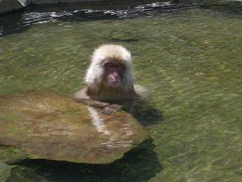 f0127098_027334.jpg