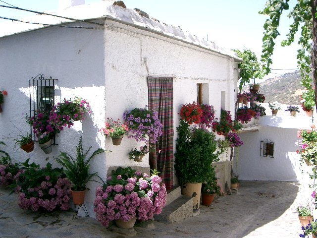c0018301_14149.jpg