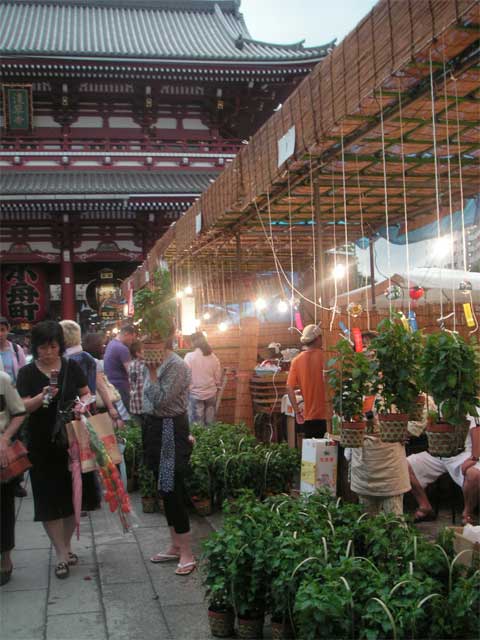 f0036603_20201313.jpg