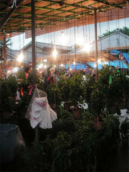 f0036603_20274429.jpg