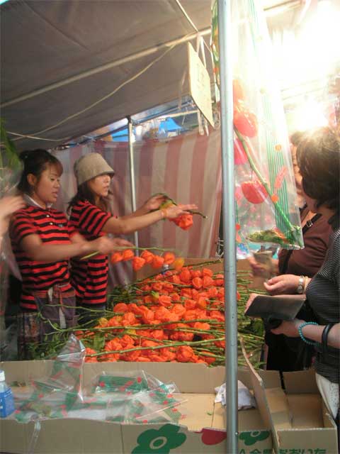 f0036603_20283820.jpg
