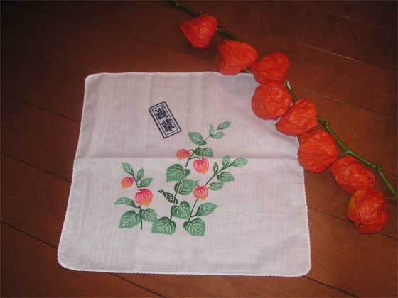 f0036603_20294042.jpg