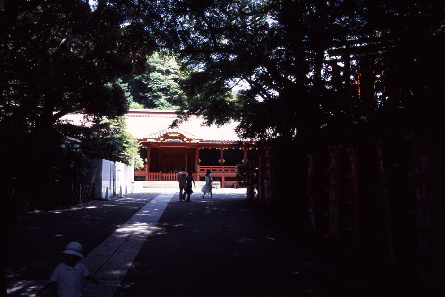 「鎌倉の旅　鶴岡八幡宮」_b0043304_22501248.jpg