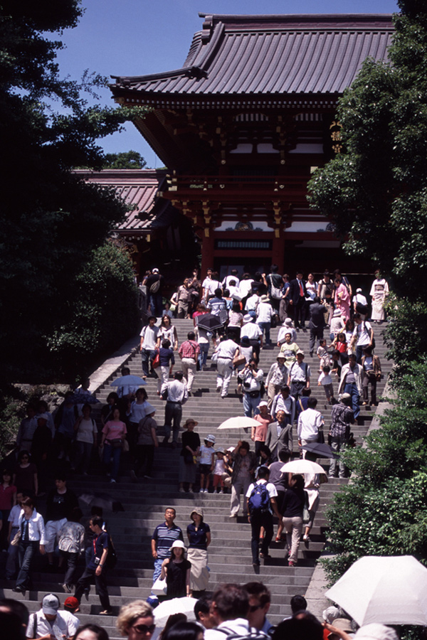 「鎌倉の旅　鶴岡八幡宮」_b0043304_2251815.jpg