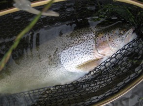 バストーニュ管理釣り場にて (2007年7月)_c0071305_18391820.jpg