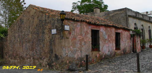 b0051109_93825.jpg