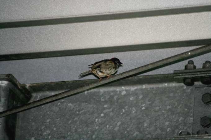 e0125220_22524123.jpg