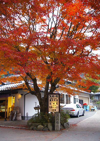 牡丹之旅‧第七日（上）練香體驗→京都(大原三千院)_c0073742_050232.jpg