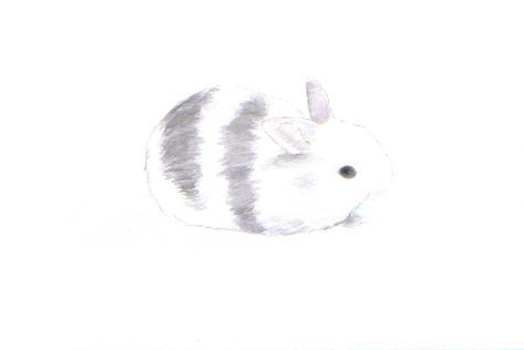 うさぎイラスト 風太郎 青色うさぎ うさぎイラスト 風太郎 青色うさぎ