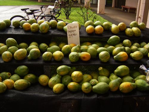 f0085850_247143.jpg