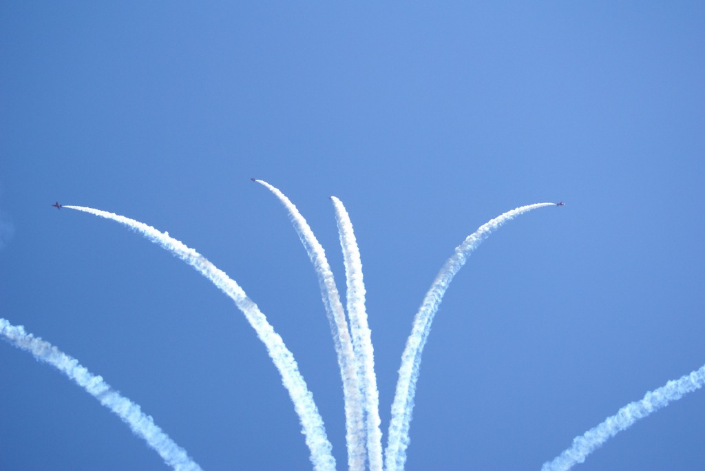 跳ね馬の躍動。 -British Grand Prix @ Silverstone-_c0105551_9364546.jpg