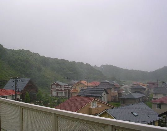 7月11日(水)・・・本当の梅雨!_f0060461_814313.jpg