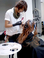 c0080367_1131191.gif