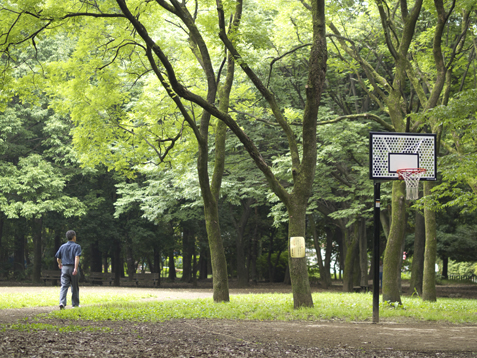 バスケットコート 7 8 善福寺川緑地 和田堀公園 写真散歩 バスケットコート 7 8 善福寺川緑地 和田堀公園 写真散歩