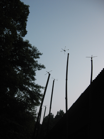 c0089974_149264.jpg