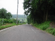 a0087378_5438.jpg