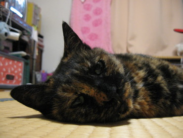 f0091785_20122036.jpg