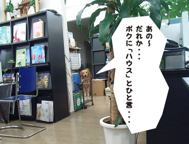 c0096393_22443099.jpg