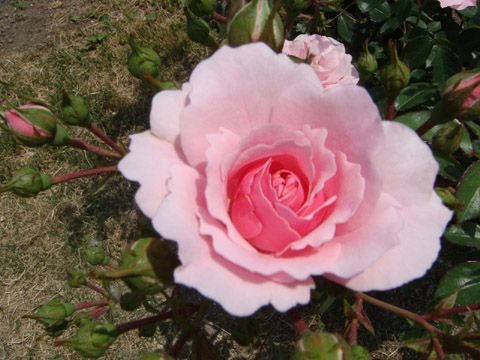 f0146493_9165517.jpg