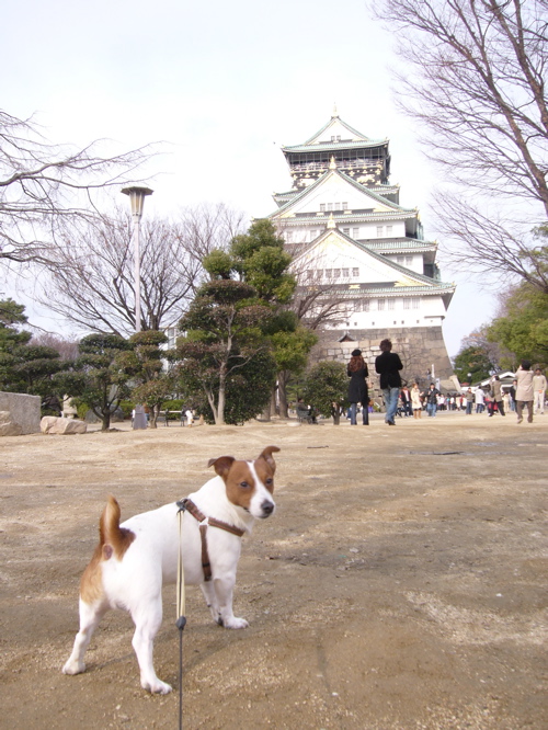 f0146198_0234172.jpg