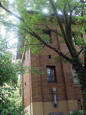 f0110699_2230783.jpg