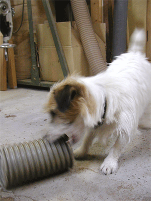 f0131699_374799.gif