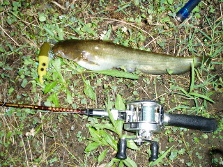 c0023804_1336298.jpg