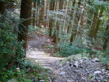 e0070606_11336.jpg