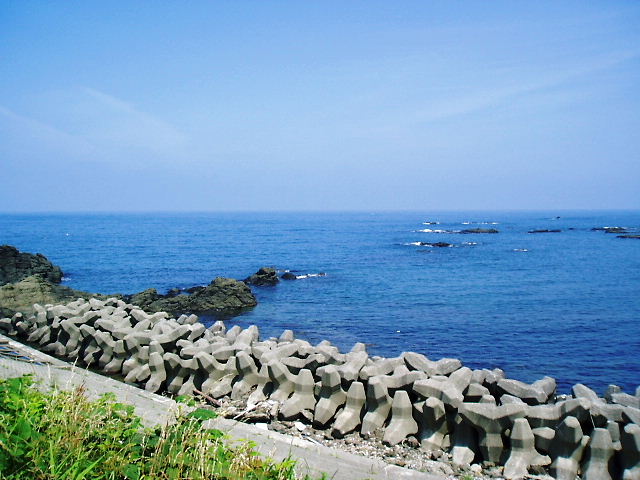 d0001008_8221481.jpg