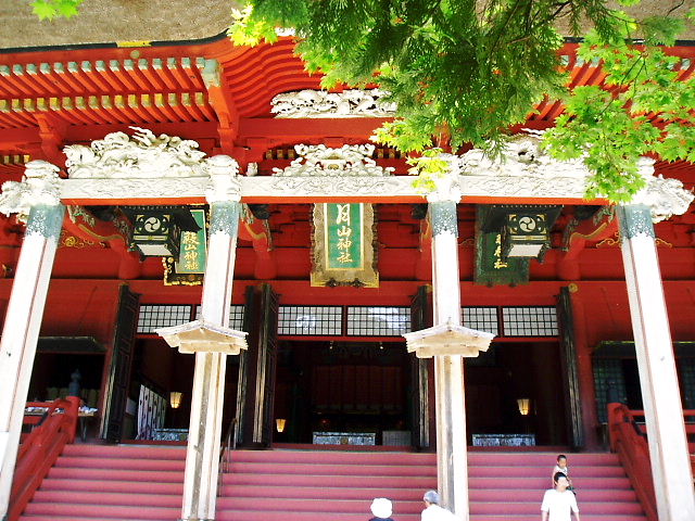 d0001008_8241818.jpg