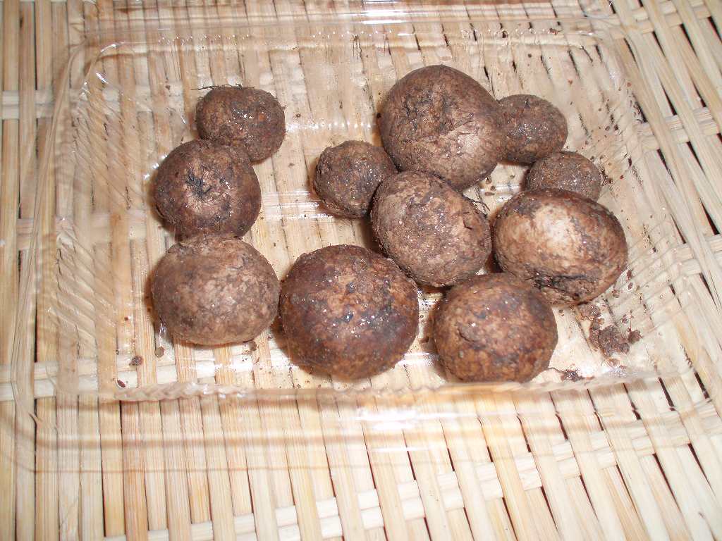 豆だんごご飯です きいばあちゃん的生活