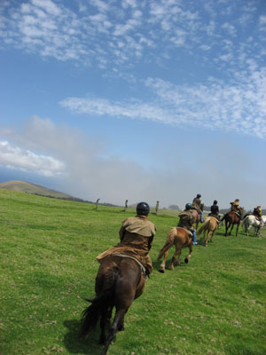 c0024729_16215552.jpg
