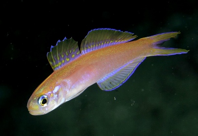 a0099033_912185.jpg