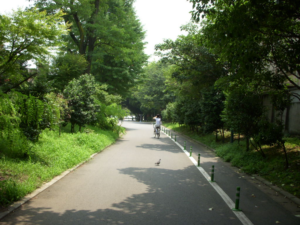 麻布十番『橘花樓』、長良川・天然鮎でサプライズ。_b0019140_12165328.jpg