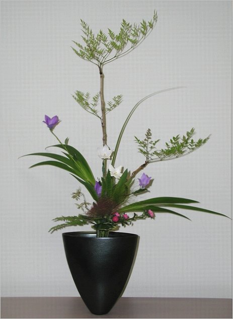 夏の立花 キキョウ お花大好き 芳庵の欲張りお花教室 Hoan S Works 夏の立花 キキョウ お花大好き 芳庵の欲張りお花教室 Hoan S Works