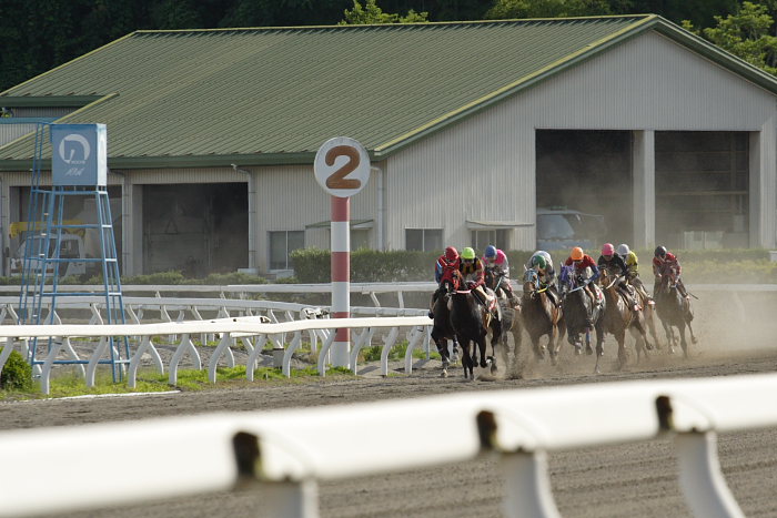 2007年6月16日（土） 高知競馬 10R 父の日特別 レース_a0077663_20584394.jpg