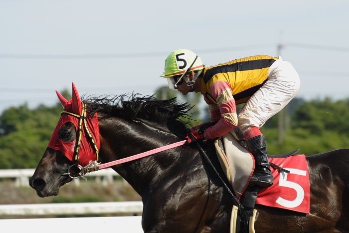 2007年6月16日（土） 高知競馬 10R 父の日特別 レース_a0077663_20585323.jpg