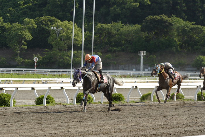 2007年6月16日（土） 高知競馬 10R 父の日特別 レース_a0077663_20591177.jpg