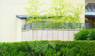 小さな庭_e0042581_18571052.jpg